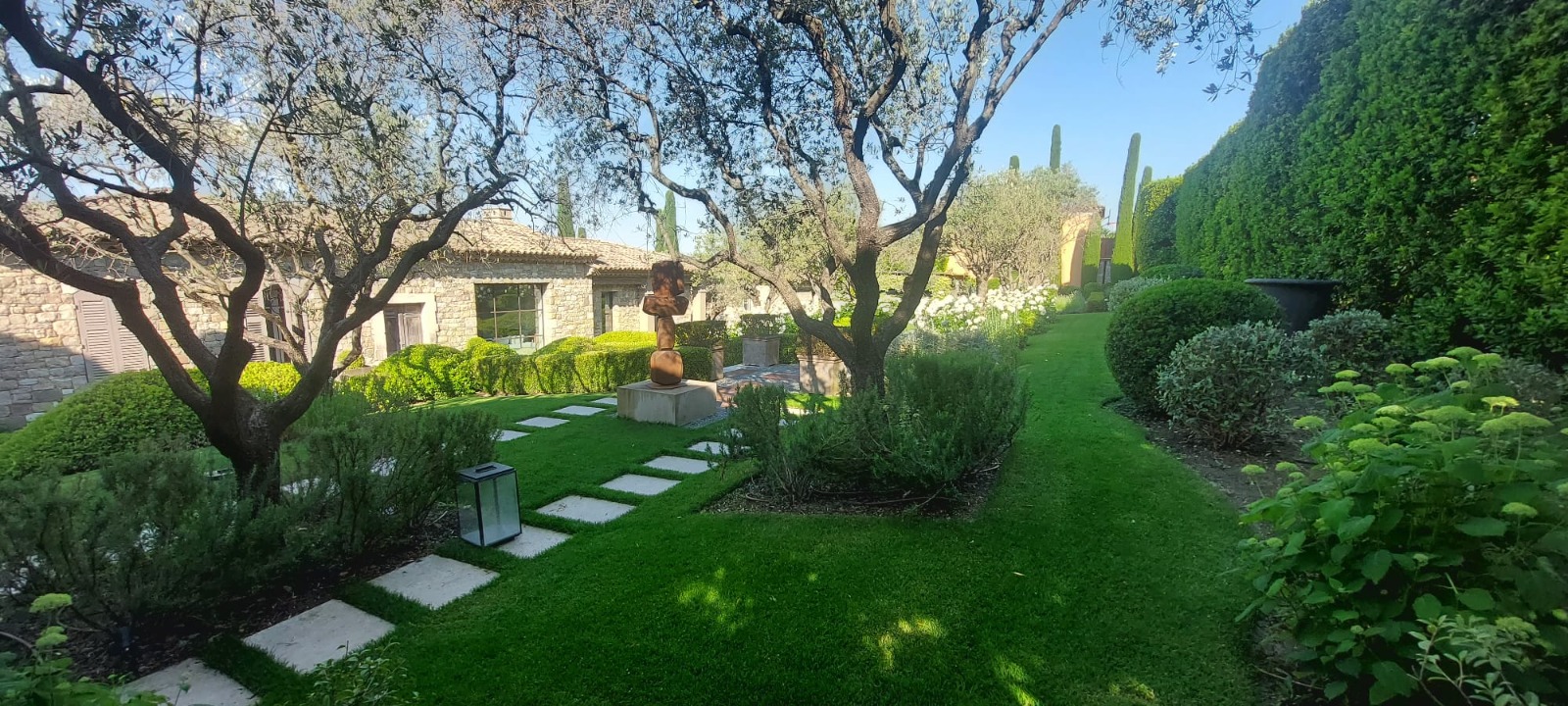 Jardin méditerranéen avec oliviers