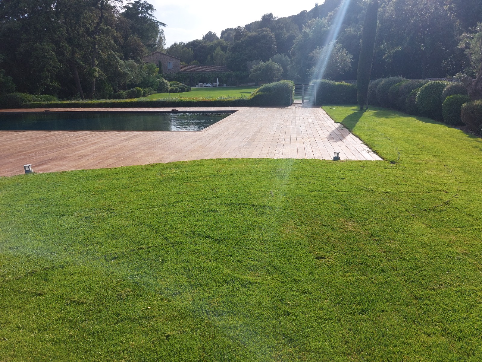 Piscine avec deck bois et pelouse